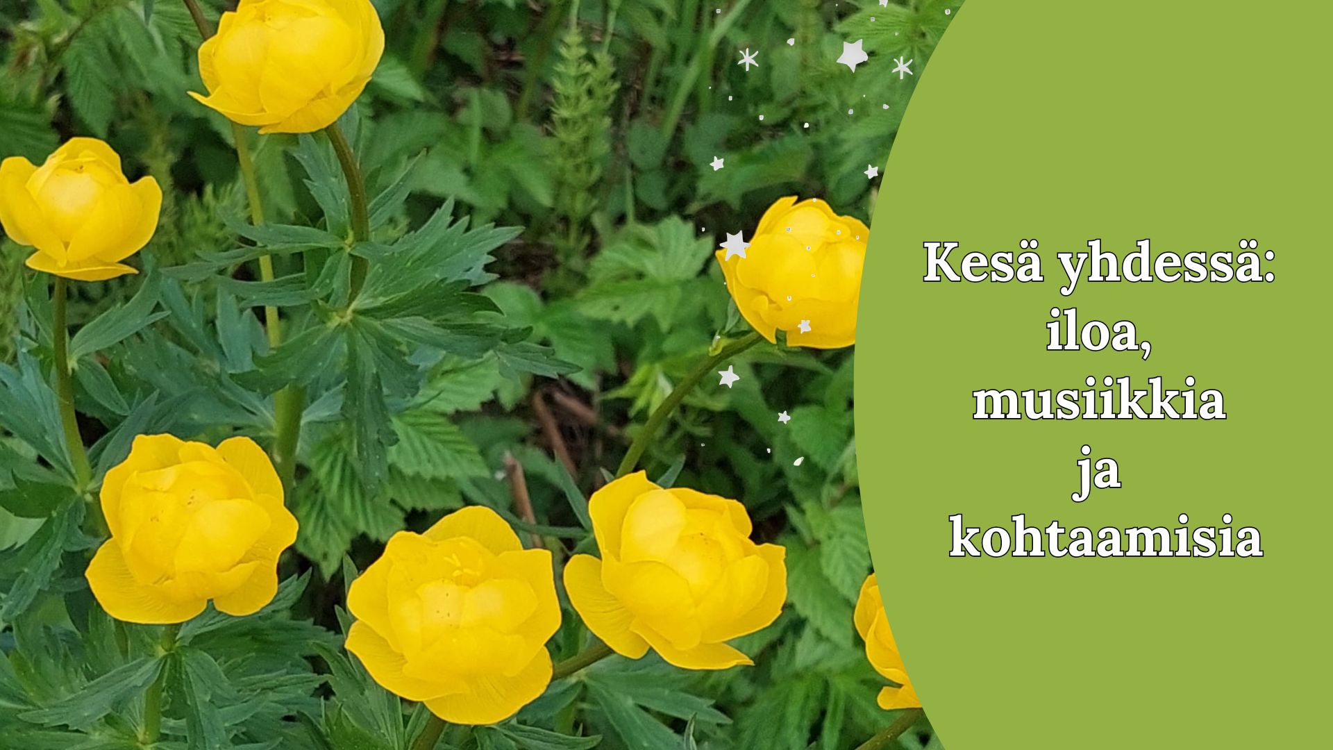 Taustalla kullerot ja oikeassa laidassa otsikkoteksti.