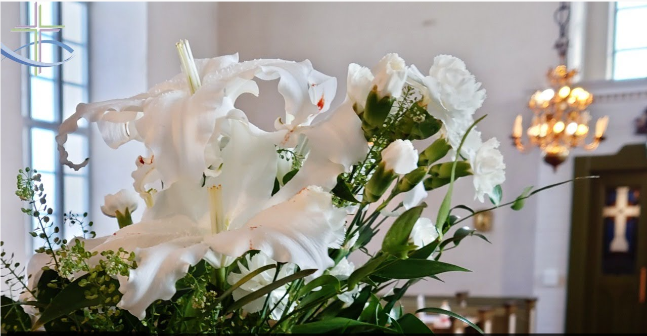 valkeat kukat etualalla taustalla Alatornion kirkkosali